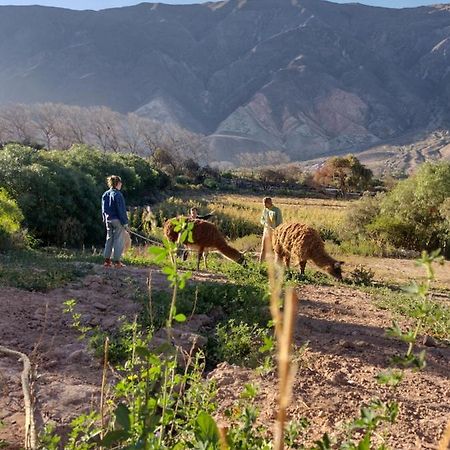 Dormir Con Llamas Maimara Ngoại thất bức ảnh