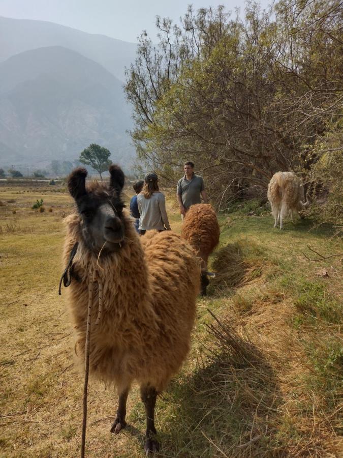Dormir Con Llamas Maimara Ngoại thất bức ảnh