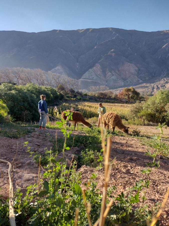 Dormir Con Llamas Maimara Ngoại thất bức ảnh