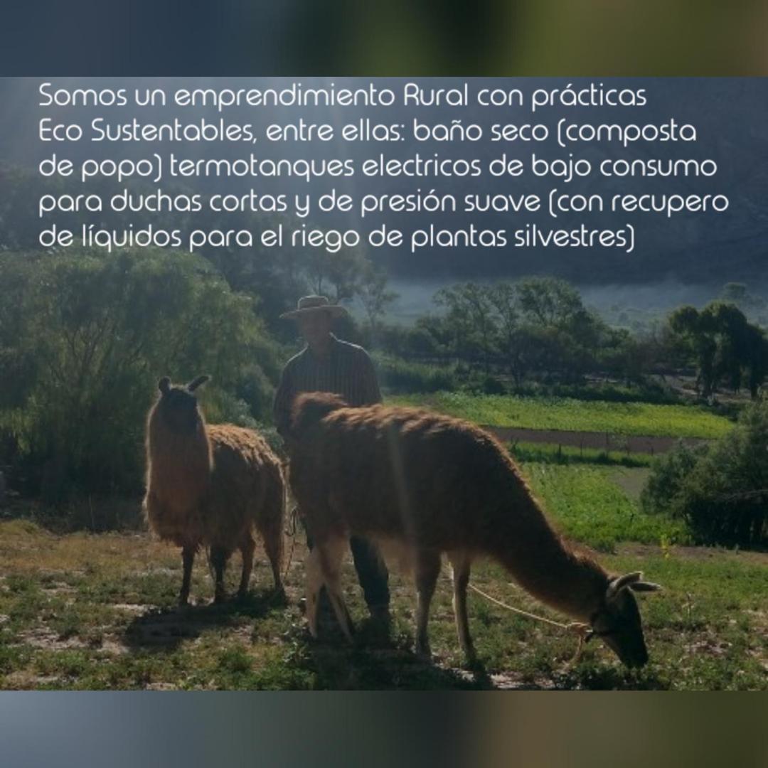 Dormir Con Llamas Maimara Ngoại thất bức ảnh